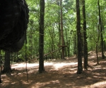roscoe09