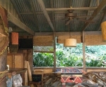 37buzzardsnest