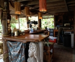 41buzzardsnest